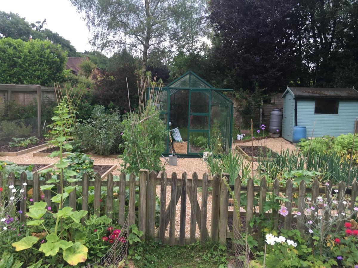 Fernwood Bed and Breakfast Ringwood Buitenkant foto