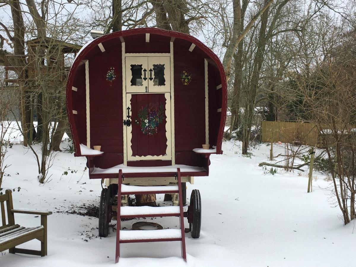 Fernwood Bed and Breakfast Ringwood Buitenkant foto