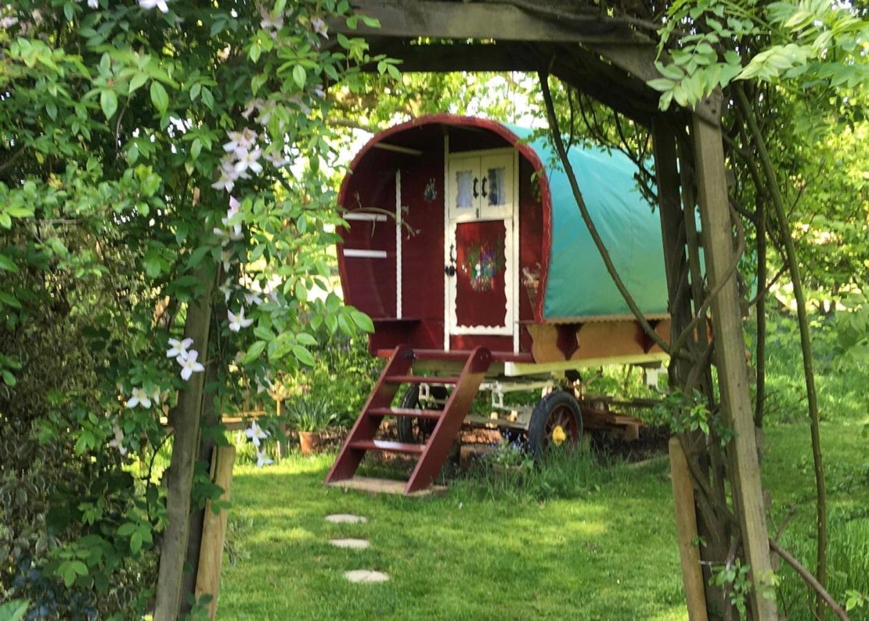 Fernwood Bed and Breakfast Ringwood Buitenkant foto