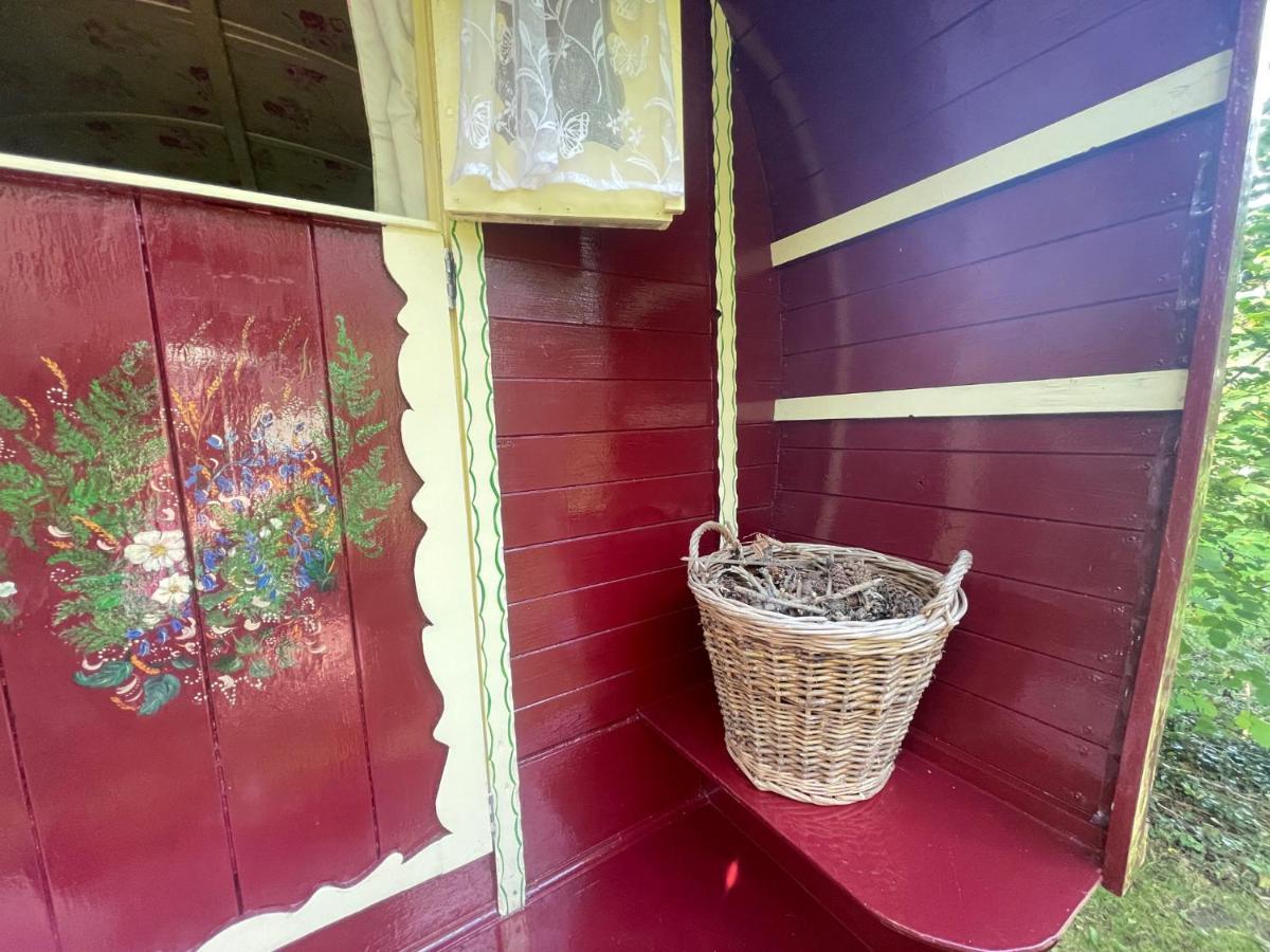 Fernwood Bed and Breakfast Ringwood Buitenkant foto