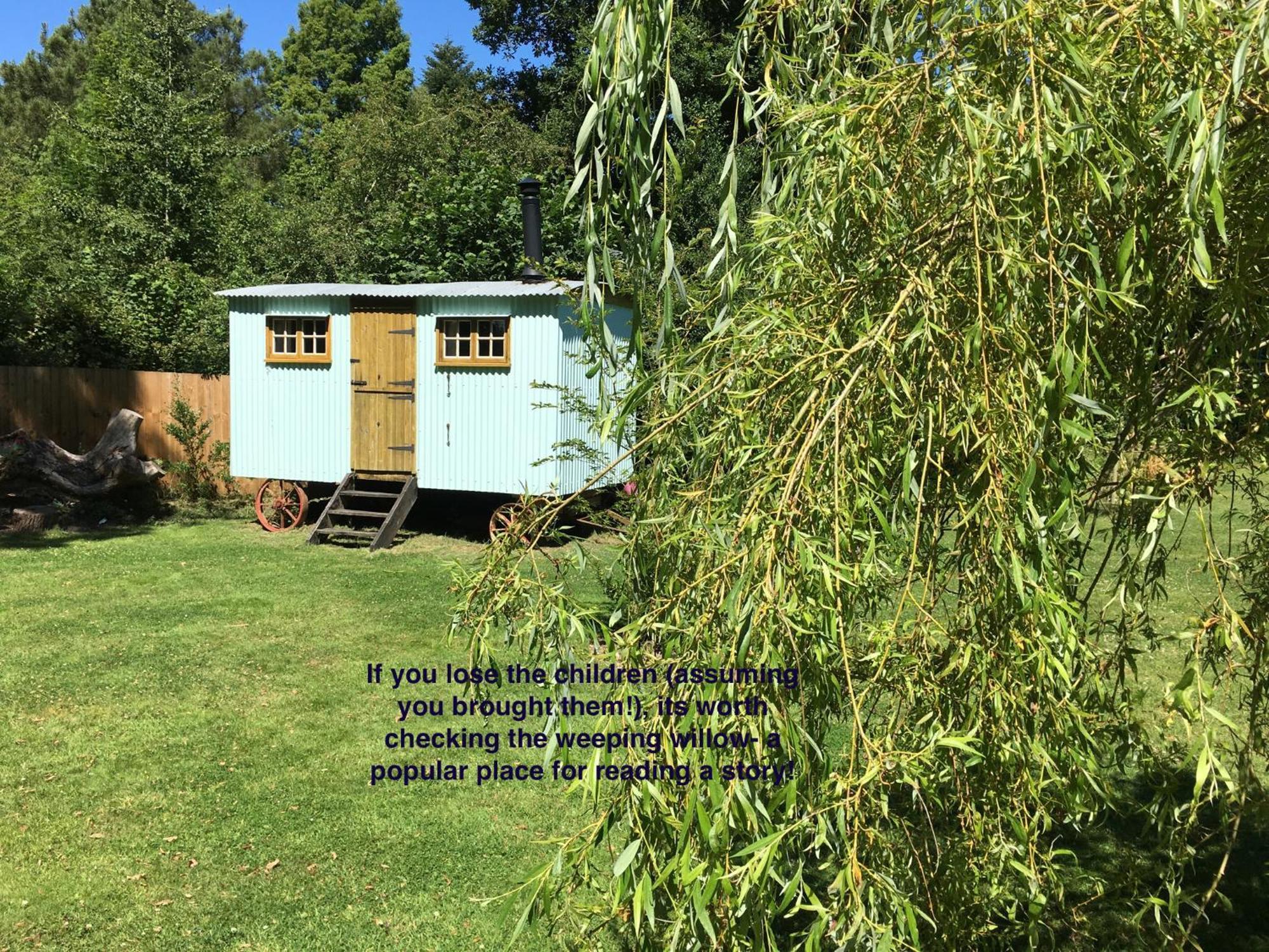 Fernwood Bed and Breakfast Ringwood Buitenkant foto