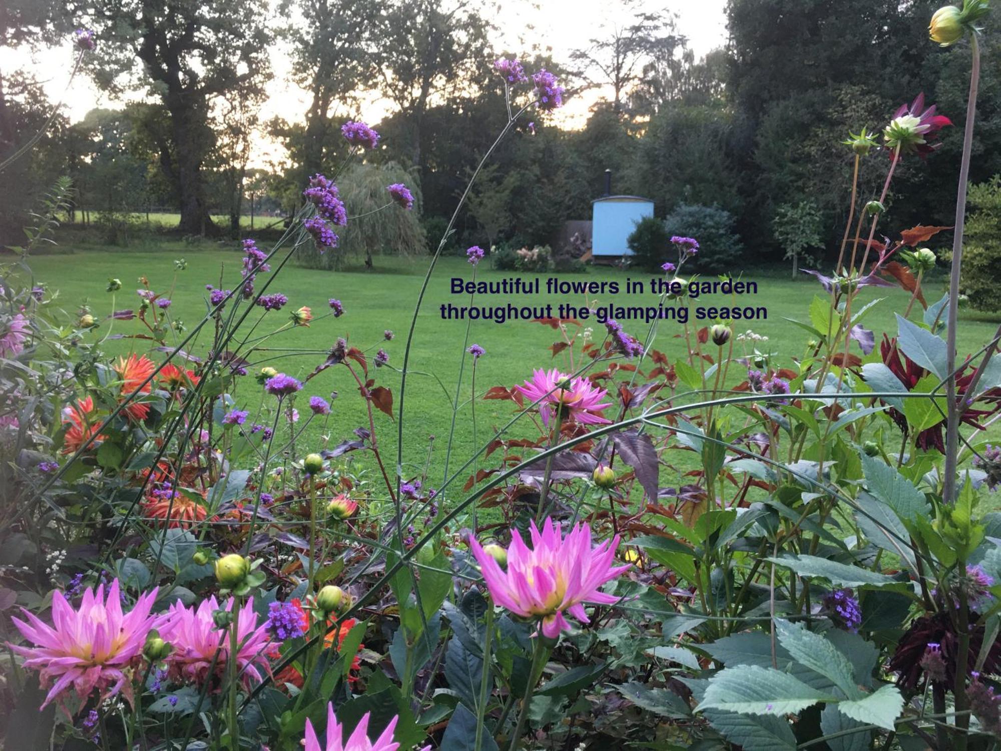 Fernwood Bed and Breakfast Ringwood Buitenkant foto